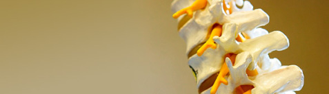 Peter Costantino D.C. P.C.